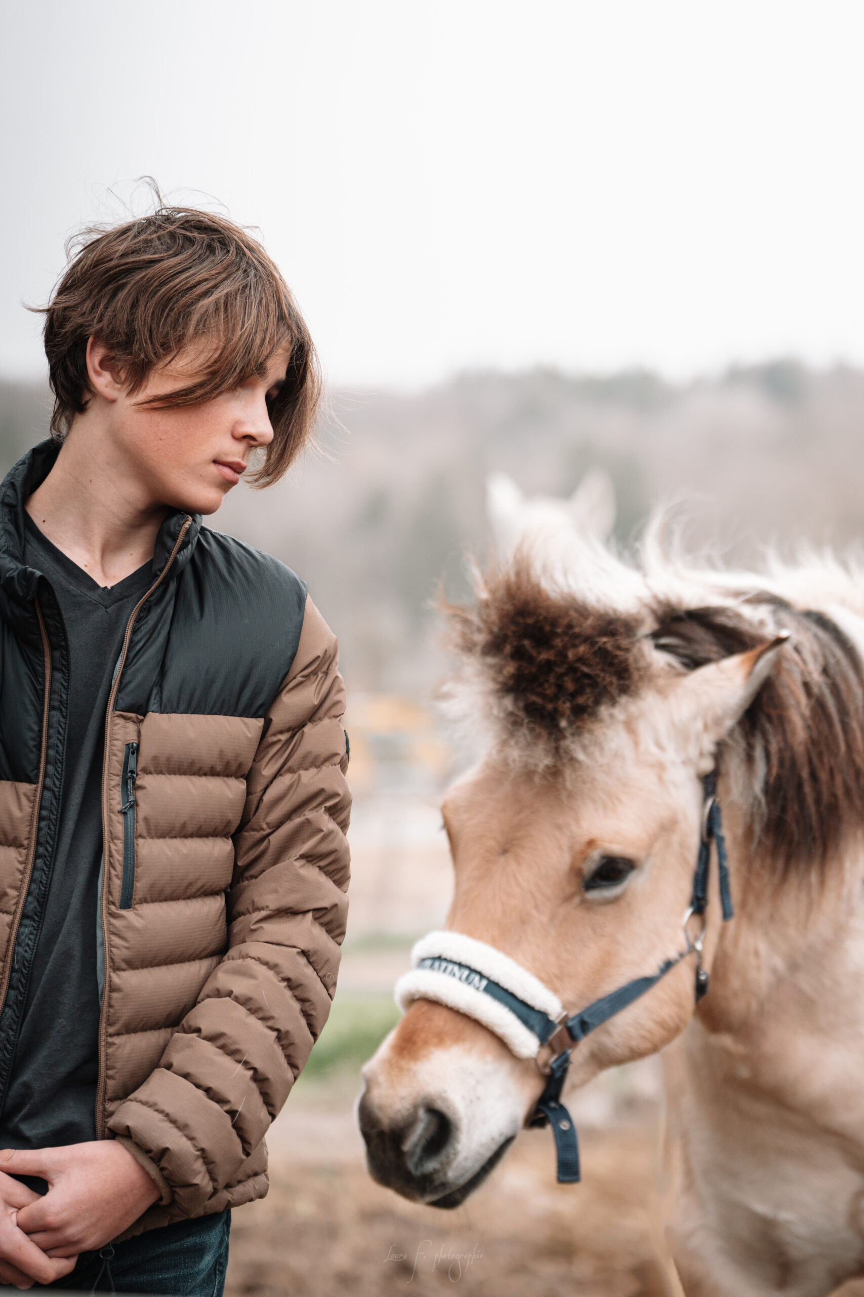 Dépasser sa peur du cheval dépasser sa peur du cheval