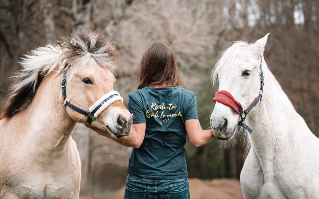 Surmonter les échecs : renaître de ses cendres