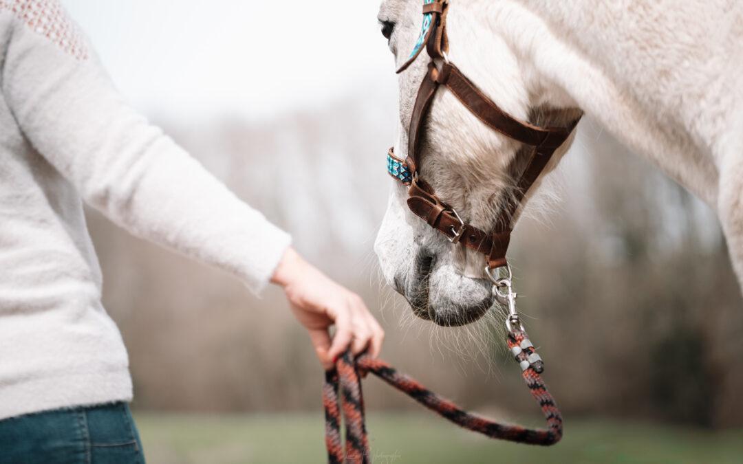 Reprendre les rênes de sa vie : quand le positionnement devient liberté