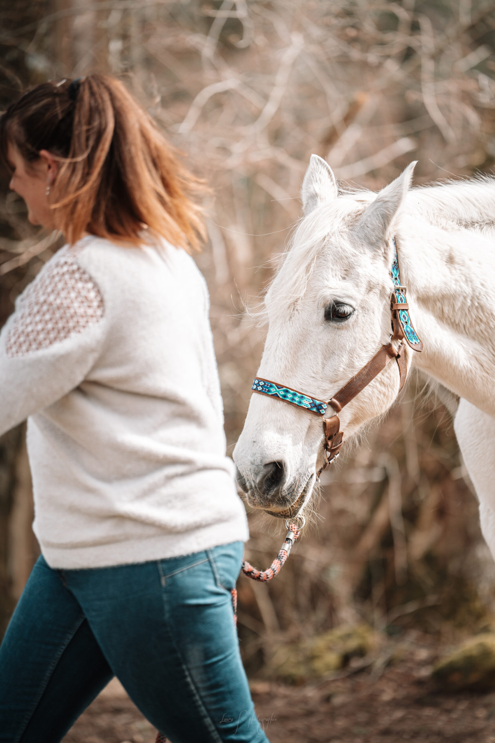 equicoaching4 equi-coaching