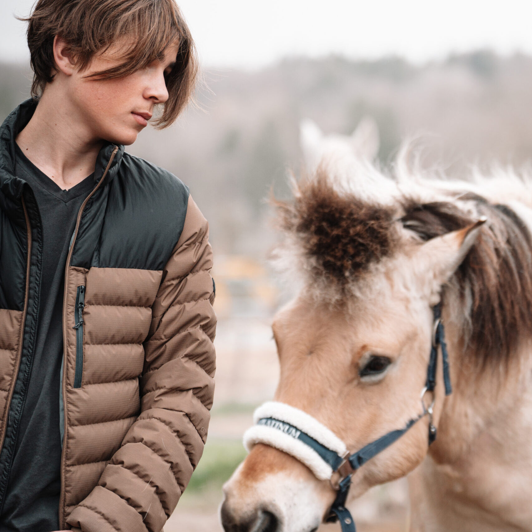 Depasser-sa-peur-du-cheval-scaled