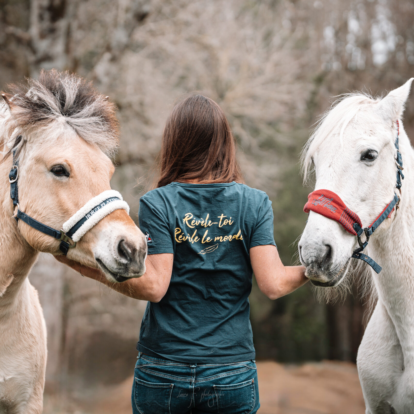 Resoname-1-scaled Parcours raison'ame - marie la louve - coaching - equi coaching - peur du cheval