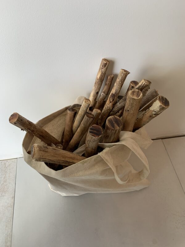 Atelier Hochet de médecine – Image 2