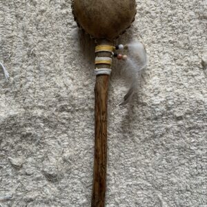 Hochets de médecine